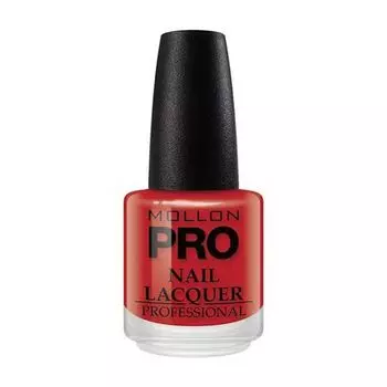 Лак для ногтей Mollon Pro, цвет 111, 15 мл