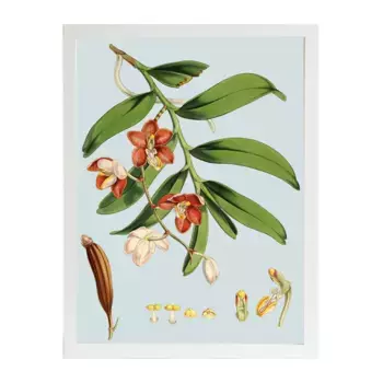 Лам Орхидеи Цветы Принт PSTR Studio + Marco Thor El Corte Ingls