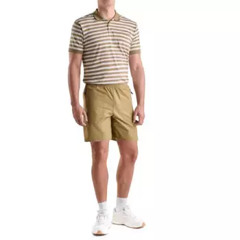 Lamont Astore Мужские шорты-бермуды, коричневый