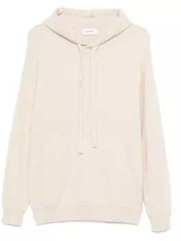 Laneus трикотажное худи, серый