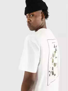 Лантана футболка Pass Port, белый