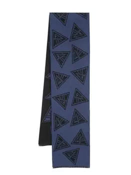 Lanvin шарф с логотипом, синий