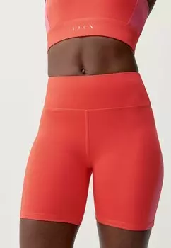 Леггинсы LATIKA Born Living Yoga, цвет coral