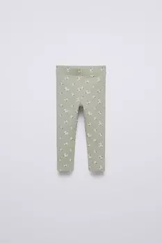 Леггинсы с ребрышками и принтом ZARA, цвет washed green