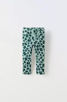 Леггинсы с ребрышками и принтом ZARA, зеленоватый