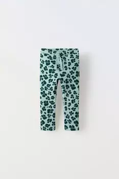 Леггинсы с ребрышками и принтом ZARA, зеленоватый