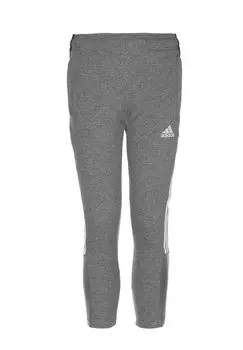 Леггинсы TIRO 21 adidas Performance, цвет grey four mel sld