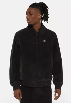 Легкая куртка Chase City Dickies, черный