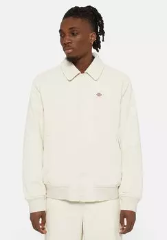 Легкая куртка Chase City Dickies, цвет whitecap gray