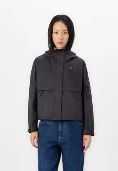 Легкая куртка ERIE Blauer, черный