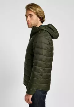 Легкая куртка LIGHT PUFFER JKT Lee, зеленый