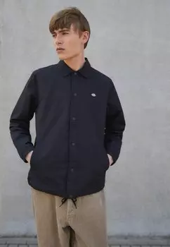 Легкая куртка OAKPORT COACH Dickies, черный