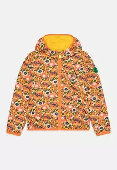 Легкая куртка SAVE THE DUCK X THE ANIMAL OBSERVATORY JUNIOR JACKET UNISEX, цвет multi-coloured