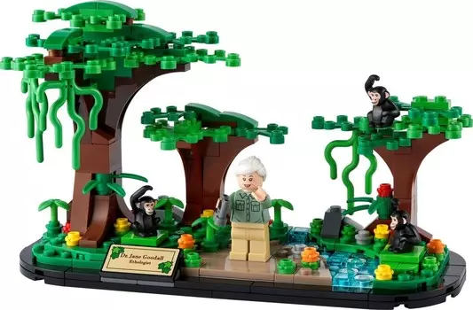 LEGO Classic, кубики, дань уважения Джейн Гудолл, 40530
