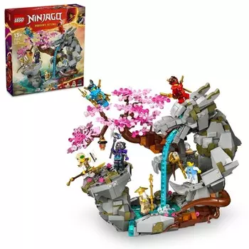 LEGO Ninjago, блоки, Храм Драконьего Камня, 71819