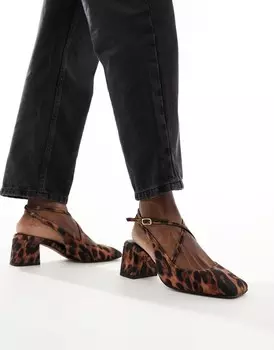 Леопардовые туфли на среднем каблуке с квадратным носком ASOS DESIGN Sawyer