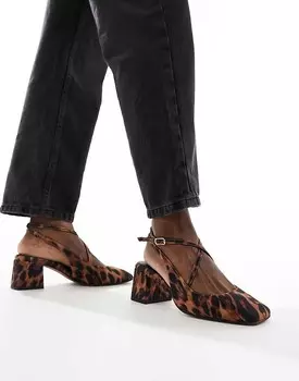Леопардовые туфли на среднем каблуке с квадратным носком ASOS DESIGN Sawyer