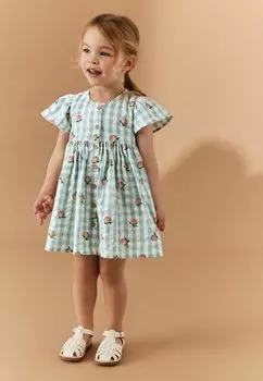 Летнее платье Regular Fit Next, цвет blue apricot gingham