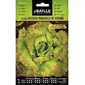 Летняя битва «Maresme Wonder» Good4you