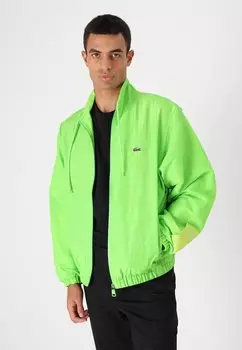 Летняя куртка Lacoste, зеленый