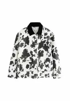 Летняя куртка REGULAR FIT - COLLAR Next, белый
