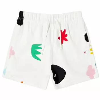 Летные шорты Air Jordan Artist Series