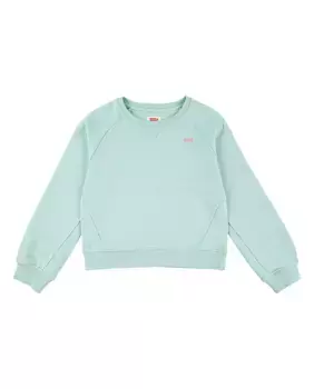 Levi's Силиконовая толстовка с круглым вырезом и круглым вырезом, зеленый