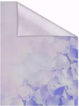 LICHTBLICK ORIGINAL оконная пленка "Гортензия", 1 шт., непрозрачная, структурированные клейкие точки, самоклеящаяся, защита конфиденциальности 100х100 см, пастельно-фиолетовый