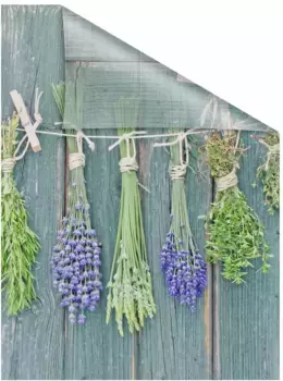 LICHTBLICK ORIGINAL оконная пленка "Травы", 1 шт., непрозрачная, структурированные клейкие точки, самоклеящаяся, защита конфиденциальности 50х50 см, зеленый