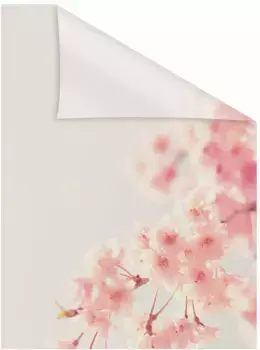 LICHTBLICK ORIGINAL оконная пленка "Вишневое дерево", 1 шт., непрозрачная, структурированные клейкие точки, самоклеящаяся, защита конфиденциальности 100х130 см, цвет orange