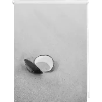 LICHTBLICK ORIGINAL Рулонная штора с боковым открыванием «Klemmfix motif Shell», светозащита, без сверления, свободно висит, с рисунком, цвет schwarz/wei + wei