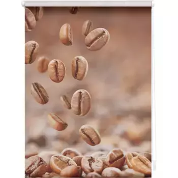 LICHTBLICK ORIGINAL Рулонная штора с боковым открыванием «Rollo Klemmfix, без сверления, непрозрачная, кофейно-коричневого цвета», непрозрачная, защитная сетка, свободно висящая, цвет braun + wei