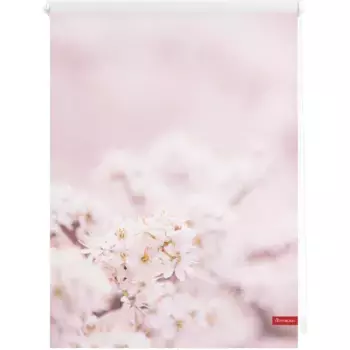 LICHTBLICK ORIGINAL рулонная штора с боковым подъемом «Rollo Klemmfix, без сверления, затемнение, цвет вишни - розово-белый», затемнение, энергосбережение, свободно висит