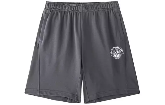 Life Collection Повседневные шорты мужские Castle Grey Anta, цвет Castle Gray