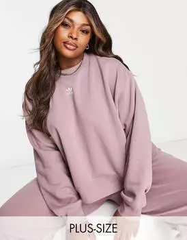 Лиловая толстовка adidas Originals Plus Essentials