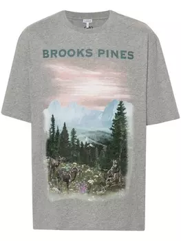 LOEWE футболка с графичным принтом, серый