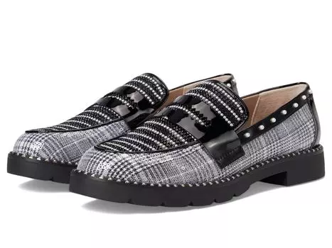 Лоферы Blue by Betsey Johnson Darian, цвет Black/White Plaid