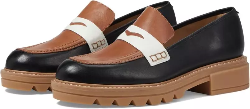 Лоферы Chandler Bernardo, цвет Luggage Multi