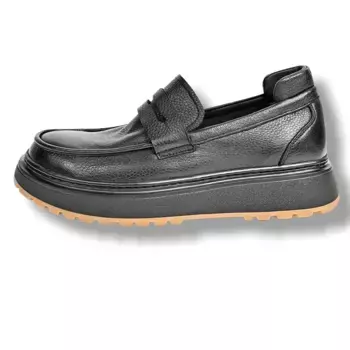 Лоферы мужские Brounvanm, черный