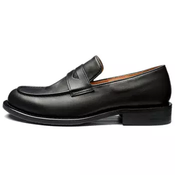 Лоферы мужские Diengrley, черный