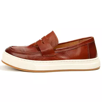 Лоферы мужские Diengrley, цвет Red Brown