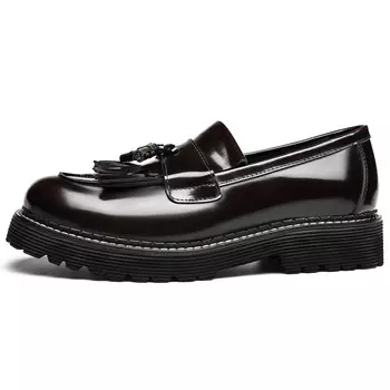 Лоферы мужские с низким верхом Diengrley, цвет Burgundy