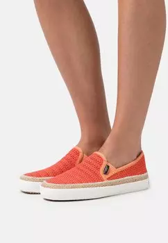 Лоферы Scotch & Soda