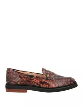 Лоферы Tod'S, коричневый