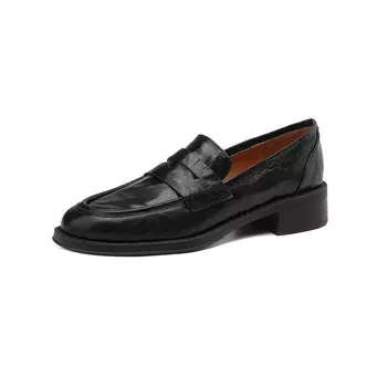 Лоферы женские Raphael Sona, коричневый