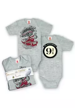 Logoshirt "Гарри Поттер - Хогвартс-Экспресс" с лицензионным принтом, цвет Grau-Meliert