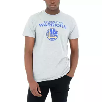 Логотип мужской команды Голден Стэйт Уорриорз НБА Новая эра Футболка New Era, серый