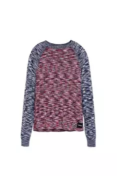 Лонгслив Desigual Shirt, разноцветный