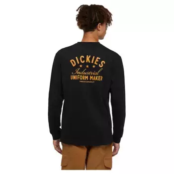 Лонгслив Dickies Trego, черный