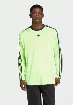 Лонгслив JACQ Adidas Originals, светло-зеленый